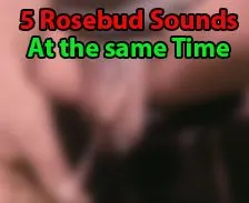 Sounding #1